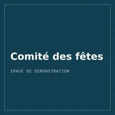 Logo de démonstration de l'association Comité des fêtes