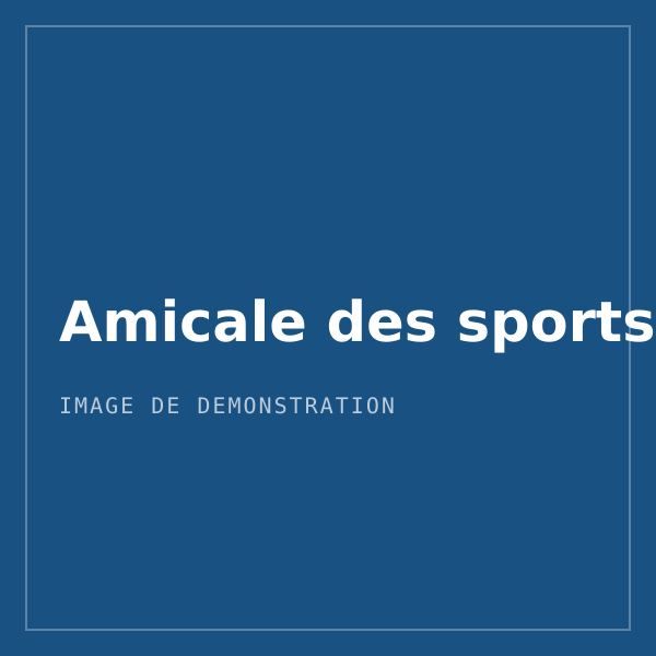 Logo de démonstration de l'association Amicale des sports