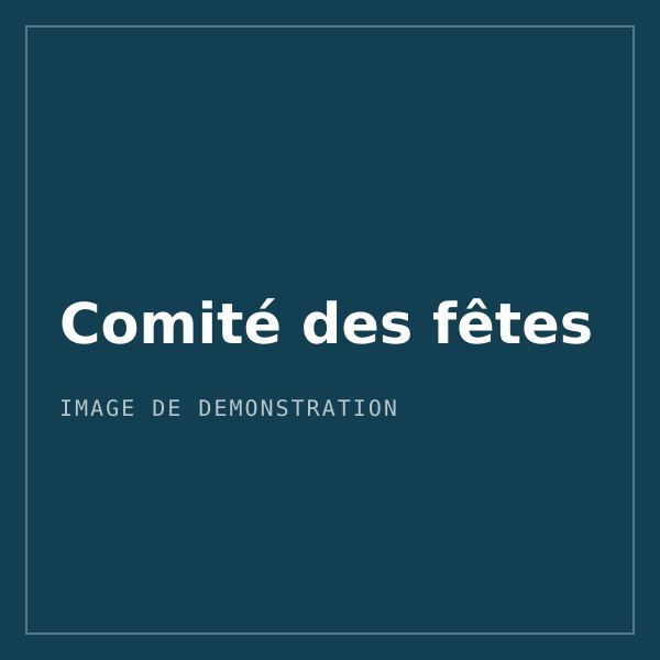 Logo de démonstration de l'association Comité des fêtes